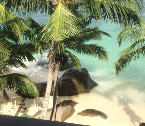 Roseharrycove,Seychelles , Plage paradisiac avec sable blanc, eaux turquoise,cocotiers