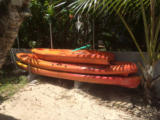 Roseharrycove,Seychelles. Sea kayaks. Kaysks de mer